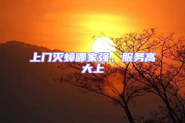 上門滅蟑哪家強，服務高大上
