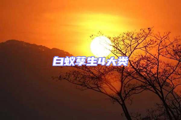 白蟻孳生4大類