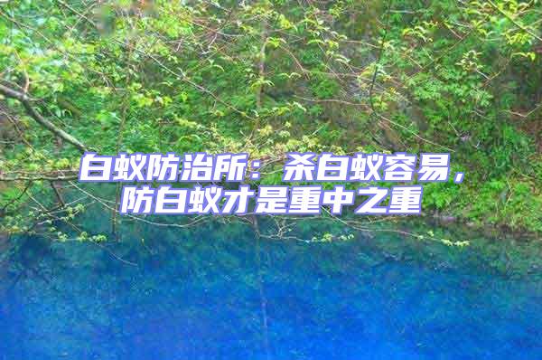 白蟻防治所：殺白蟻容易，防白蟻才是重中之重
