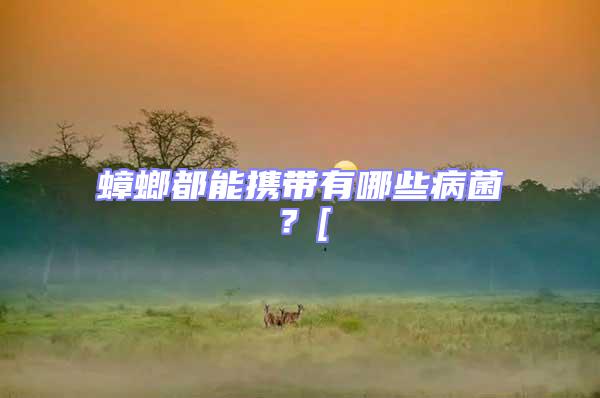 蟑螂都能攜帶有哪些病菌？[