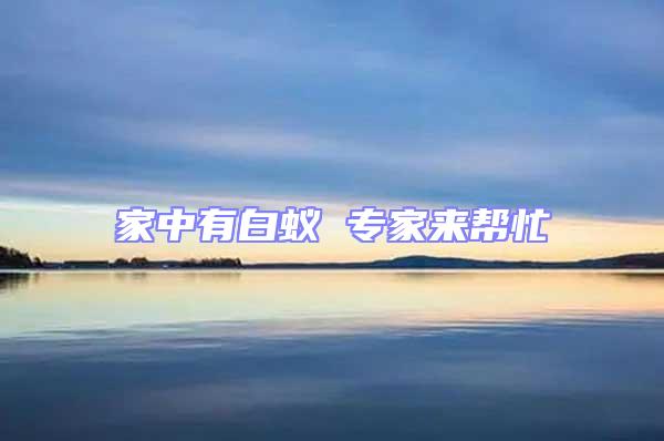 家中有白蟻 專家來幫忙