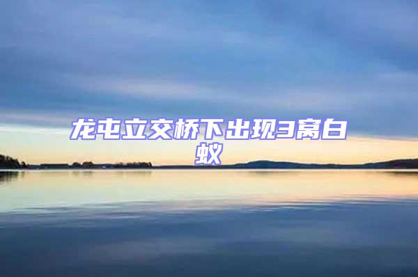 龍屯立交橋下出現3窩白蟻