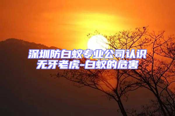深圳防白蟻專業(yè)公司認識無牙老虎-白蟻的危害