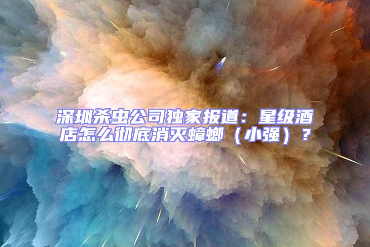 深圳殺蟲公司獨家報道：星級酒店怎么徹底消滅蟑螂（小強）？