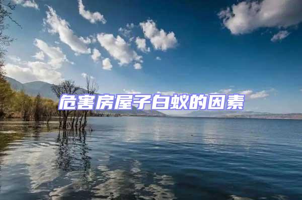 危害房屋子白蟻的因素