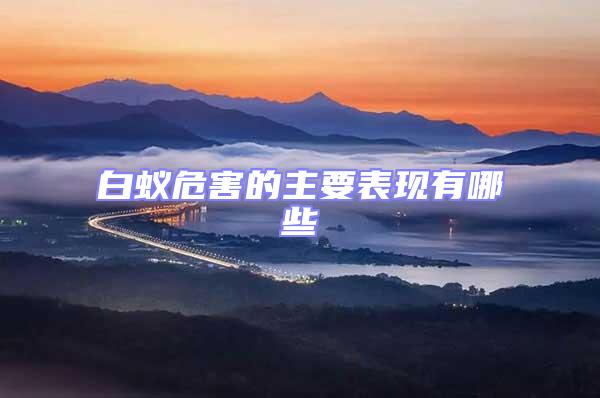 白蟻危害的主要表現(xiàn)有哪些