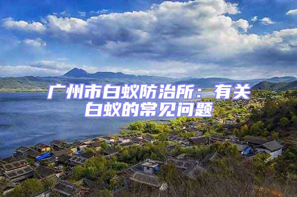 廣州市白蟻防治所：有關白蟻的常見問題