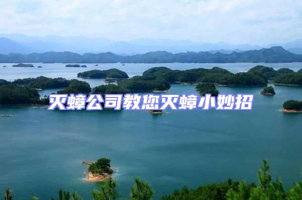 滅蟑公司教您滅蟑小妙招