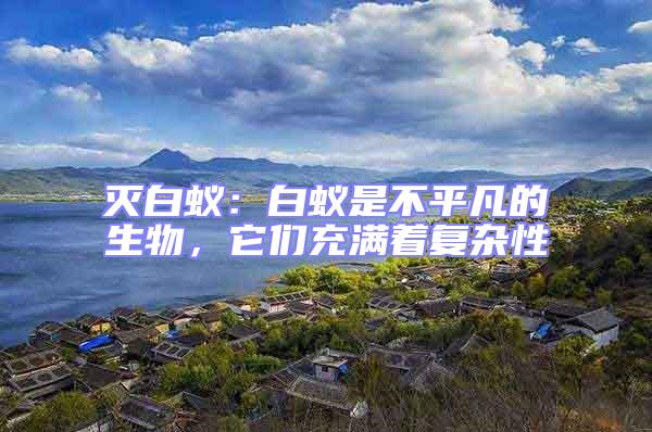 滅白蟻：白蟻是不平凡的生物，它們充滿著復雜性