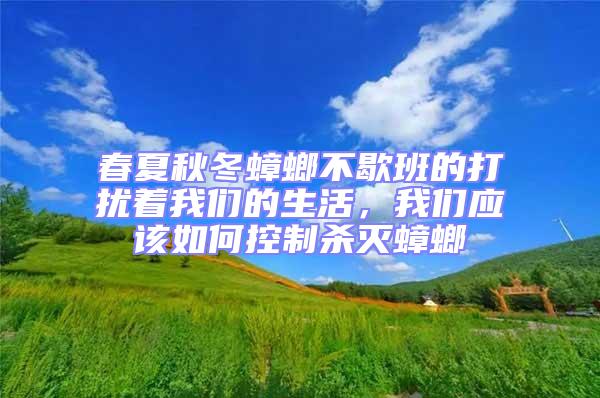 春夏秋冬蟑螂不歇班的打擾著我們的生活，我們應(yīng)該如何控制殺滅蟑螂