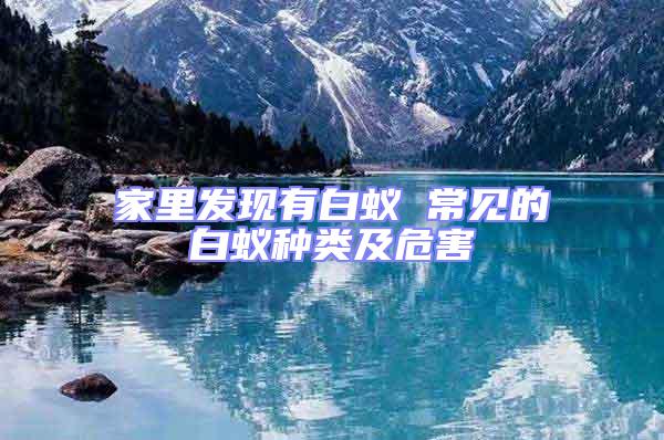 家里發現有白蟻 常見的白蟻種類及危害