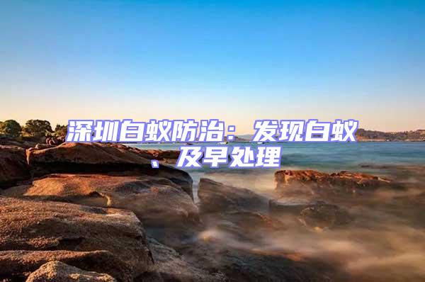 深圳白蟻防治：發(fā)現(xiàn)白蟻、及早處理