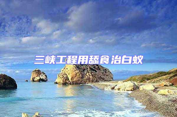 三峽工程用舔食治白蟻
