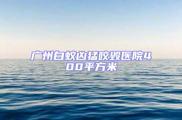廣州白蟻兇猛咬毀醫院400平方米