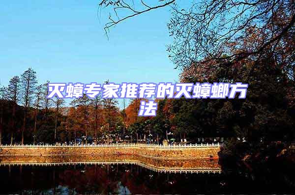 滅蟑專家推薦的滅蟑螂方法