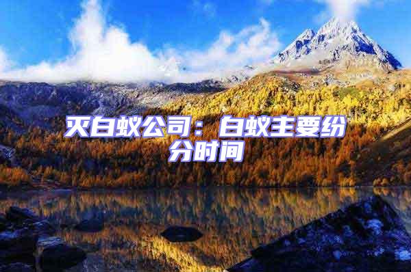 滅白蟻公司：白蟻主要紛分時間