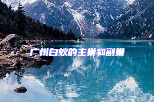 廣州白蟻的主巢和副巢