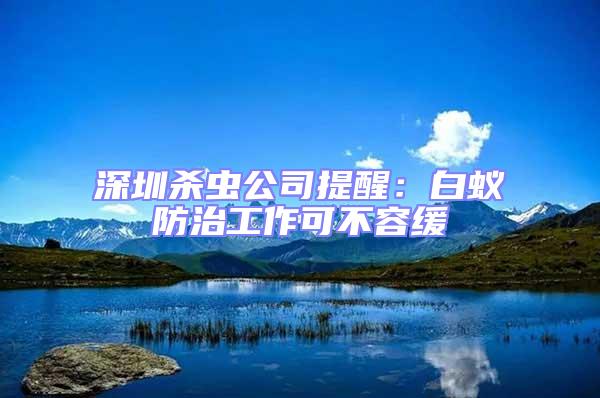 深圳殺蟲公司提醒：白蟻防治工作可不容緩