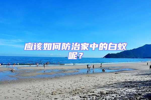 應(yīng)該如何防治家中的白蟻呢？