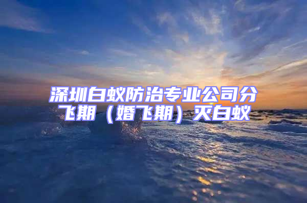 深圳白蟻防治專(zhuān)業(yè)公司分飛期（婚飛期）滅白蟻