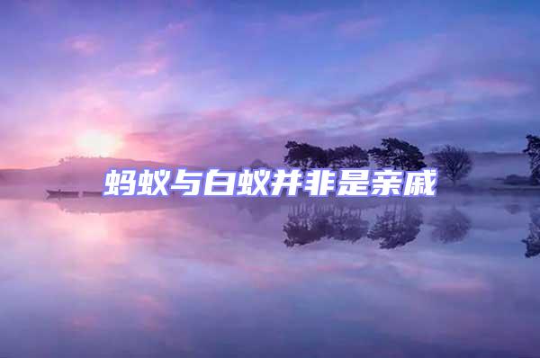 螞蟻與白蟻并非是親戚