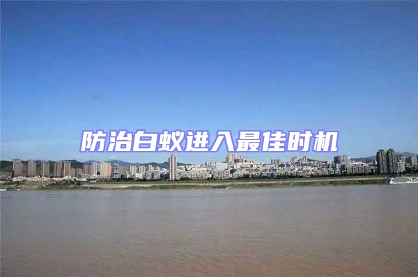 防治白蟻進入最佳時機