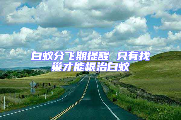 白蟻分飛期提醒 只有找巢才能根治白蟻