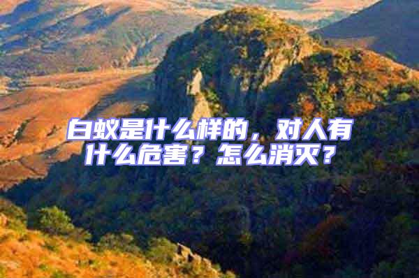 白蟻是什么樣的，對人有什么危害？怎么消滅？