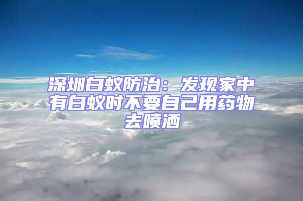深圳白蟻防治：發現家中有白蟻時不要自己用藥物去噴灑