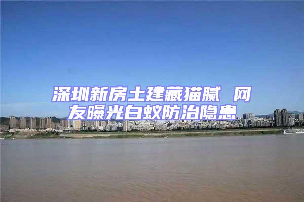 深圳新房土建藏貓膩 網(wǎng)友曝光白蟻防治隱患