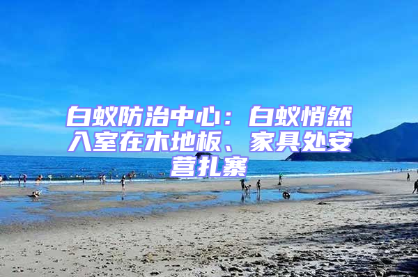 白蟻防治中心：白蟻悄然入室在木地板、家具處安營扎寨
