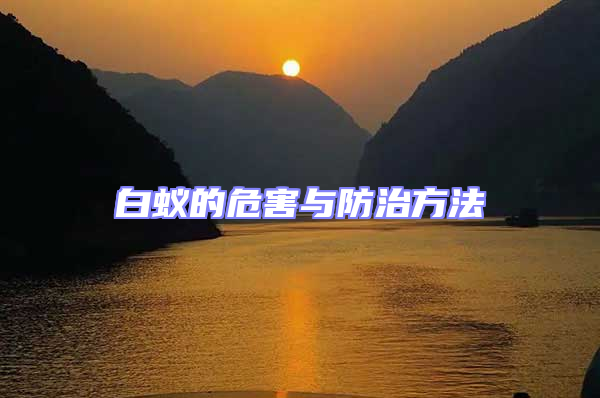 白蟻的危害與防治方法