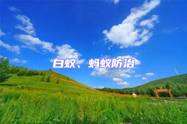 白蟻、螞蟻防治