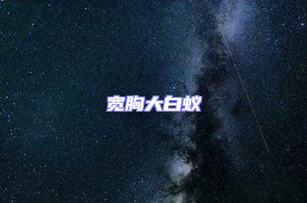 寬胸大白蟻