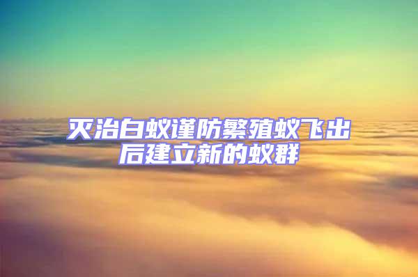 滅治白蟻謹防繁殖蟻飛出后建立新的蟻群
