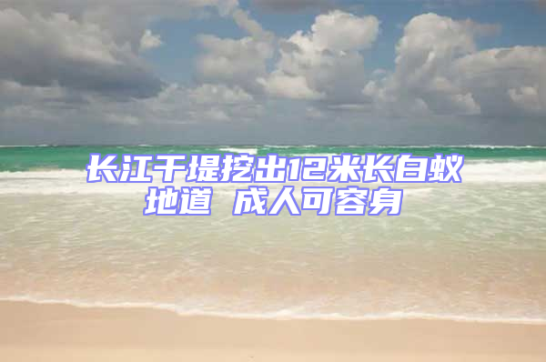 長(zhǎng)江干堤挖出12米長(zhǎng)白蟻地道 成人可容身
