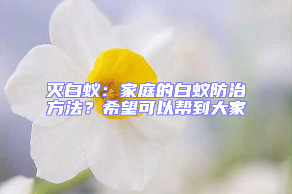 滅白蟻：家庭的白蟻防治方法？希望可以幫到大家