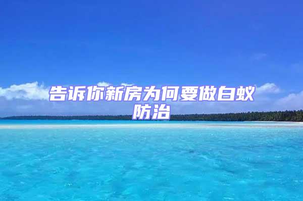 告訴你新房為何要做白蟻防治