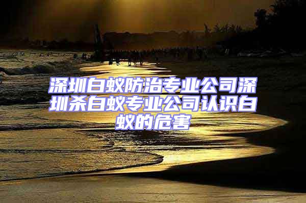 深圳白蟻防治專業公司深圳殺白蟻專業公司認識白蟻的危害