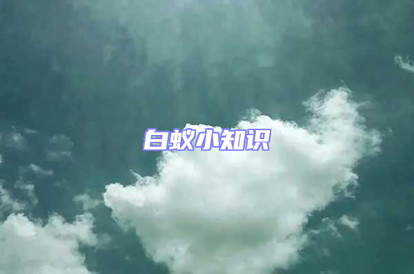 白蟻小知識