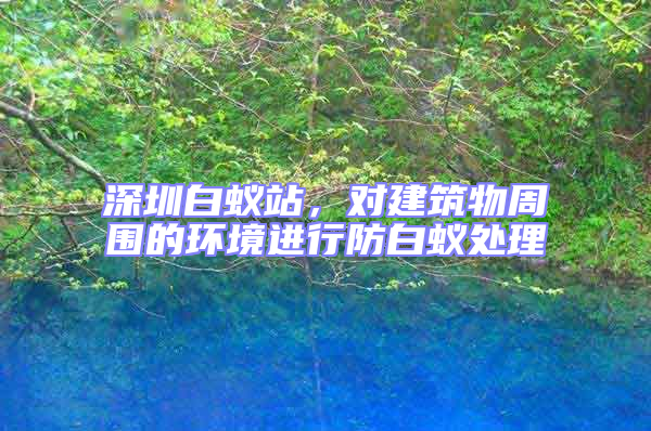 深圳白蟻站，對建筑物周圍的環境進行防白蟻處理