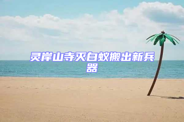 靈岸山寺滅白蟻搬出新兵器