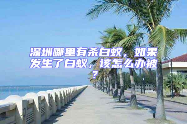 深圳哪里有殺白蟻，如果發生了白蟻，該怎么辦被？