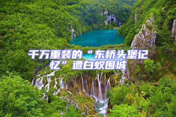 千萬重裝的“東橋頭堡記憶”遭白蟻圍城