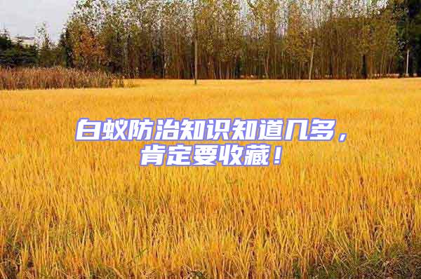 白蟻防治知識知道幾多，肯定要收藏！