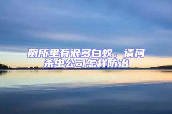 廁所里有很多白蟻，請問殺蟲公司怎樣防治