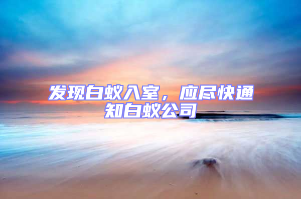 發(fā)現(xiàn)白蟻入室，應(yīng)盡快通知白蟻公司
