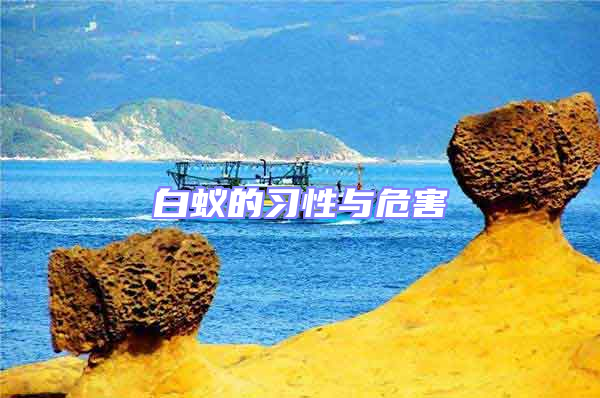白蟻的習(xí)性與危害