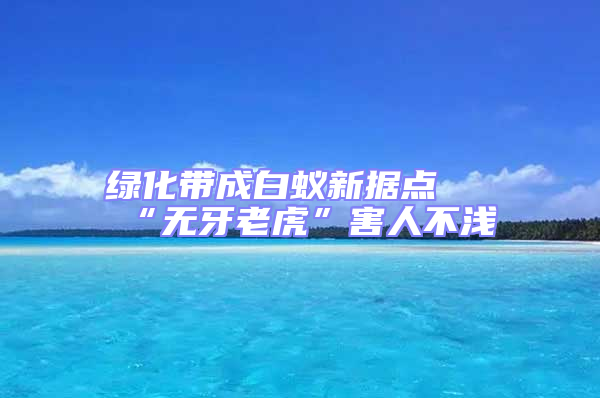 綠化帶成白蟻新?lián)c(diǎn) “無牙老虎”害人不淺