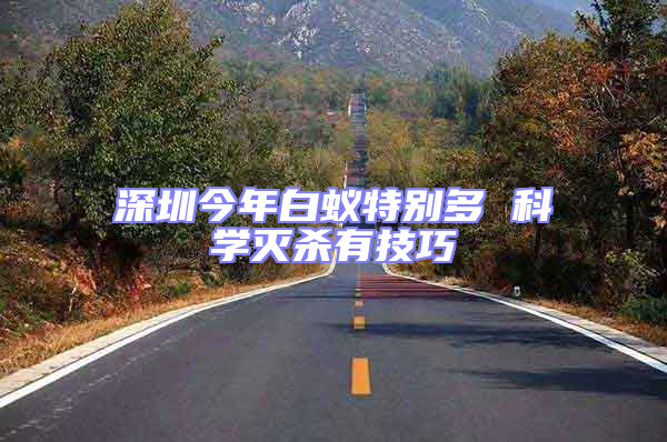 深圳今年白蟻特別多 科學滅殺有技巧